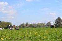 DSC_0742.jpg