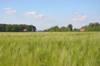 DSC_0817.jpg