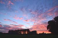 DSC_0076.jpg