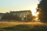 DSC_0443.jpg